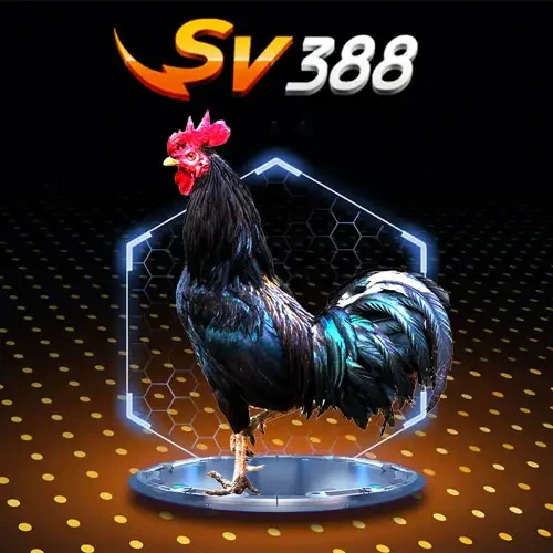 SV388 Cock Fighting Arena 2